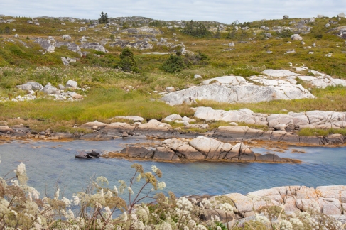 Rocky Shore near Peggy's Cove (Source - Robert Brown)